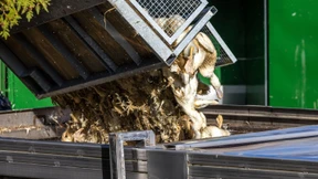 Vogelgrippe breitet sich rasant aus – 400.000 Tiere gekeult