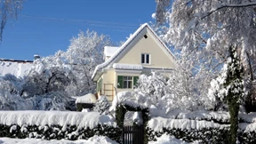 Esoterische Bio-Produkte und Streit beim Immobilienkauf