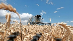 Ernteausfall bedroht Bayer