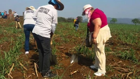 „Friedhof des Verbrechens“ in Mexiko entdeckt