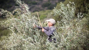 Die Kraft reicht nicht einmal für Wut