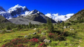 Die Schweiz zieht die Reißleine