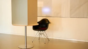 Die Politik hat mehr Vertrauen verdient