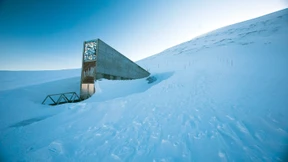 Wo das Saatgut lagert, das die Welt retten könnte