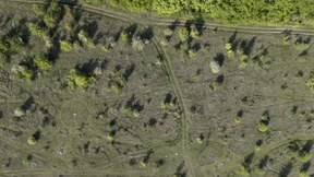 Welche begehrten Rohstoffe in der Ukraine schlummern