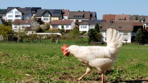 Bringen Sie Ihre Frau gleich mit!