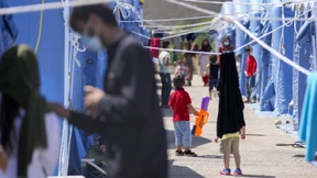 Fünfjähriger Junge aus Afghanistan stirbt nach Pilzvergiftung