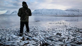 Tödliche Umwälzung 