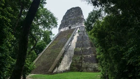 Die Stadt der Stimmen