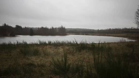 Wo Dänemarks Nerze begraben sind