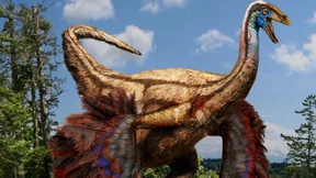 Dinofedern für die Braut