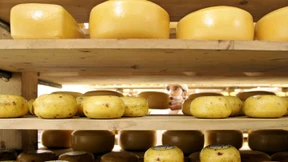 Lidl und Kaufland senken Käsepreise