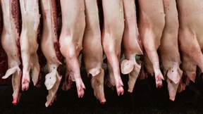 London will 1000 Schlachter aus dem Ausland holen