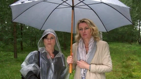 Und auf dem Hausdach ein blauer Papagei 