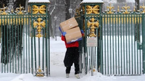 Aus dem Netz unter den Baum 