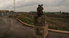 Da gähnen ja die Löwen