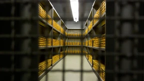 Nervenkrieg um den Goldschatz