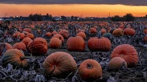 Eine Kugel für den guten Zweck