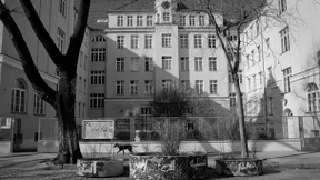 Die postidentischen Deutschen