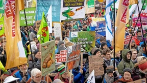 Das Grundgesetz soll grüner werden