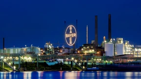 Bayer setzt auf Blumen und Monsanto