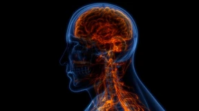 Gelähmter steuert virtuelle Drohne mit Gedanken