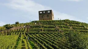 Der Sprengmeister von der Y-Burg