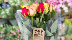 Dem fairen Handel blühen rosige Zeiten