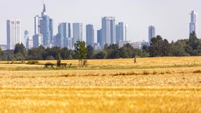 Keine Zeit für die perfekte Lösung