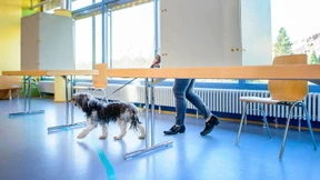 Im Saarland zeichnet sich höhere Wahlbeteiligung ab