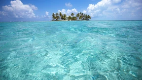 Die bösen Jungs kriegt man nicht