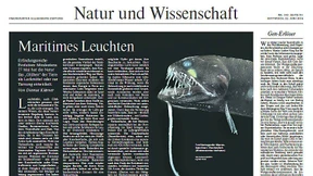 Fragwürdige Kügelchen