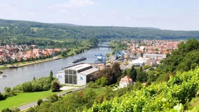 Wein aus der Industriestadt am Main