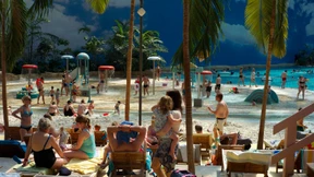 Wenn die Tropen Trauer tragen