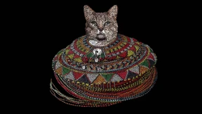 Wie das Katzenvideo seine Unschuld verlor