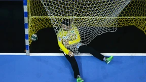 Die schwer gebeutelten Füchse aus Berlin