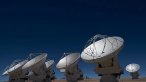 Attacken auf die Forschung