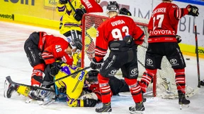 Haie und Pinguine haben es schwer