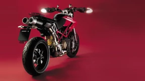 Mit angelegten Ohren aus der Nische