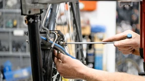 Wie wir den Mangel zu schätzen lernten