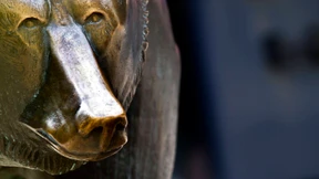 Auf der Suche nach Sicherheit