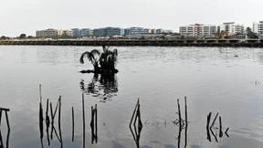 Jakarta versinkt im Meer