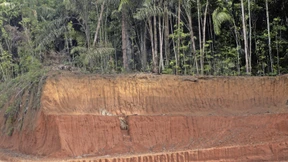 Spurenlese im Anthropozän