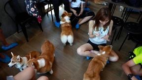 Kuschelalarm im Dutzend