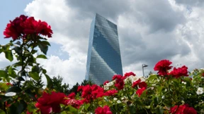 Wunderbare Institutionen