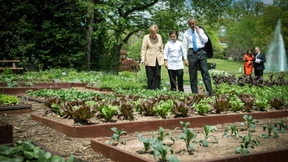 Diplomatie mit Kopfsalat