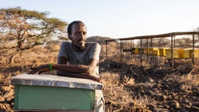 Mit Bienen und Bäumen