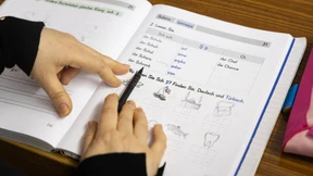 Mit Schildkröte, Schal und Schubkarre