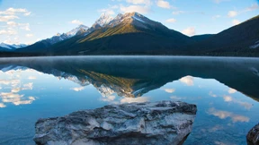 Werft mich hier raus!