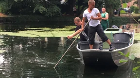 Kleiner Wels darf in Offenbacher Teich bleiben - zumindest vorerst